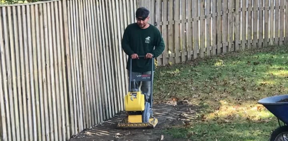 Tree and Shrub Care@1x